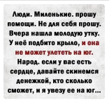 1708253555827.png