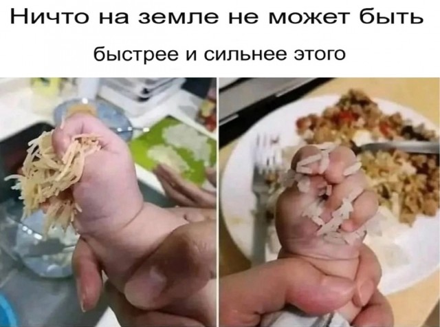19239778.jpg