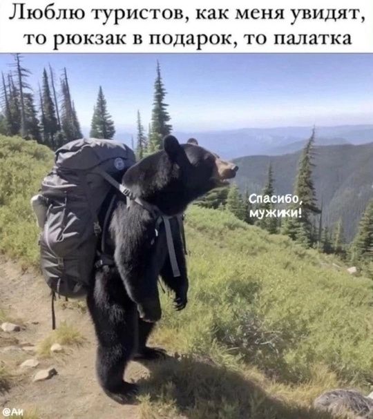 bear-79.jpg