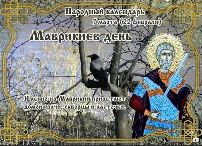 screenshot-2023-03-06-006.png