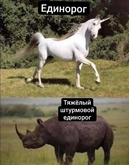 2e1eaa512db064843d28fab0e48d0f67.jpg