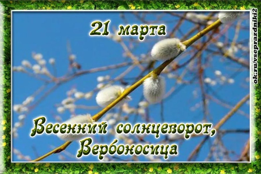 screenshot-2023-03-20-007.png