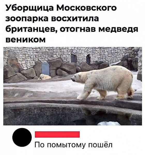 jnysj5z4.jpg