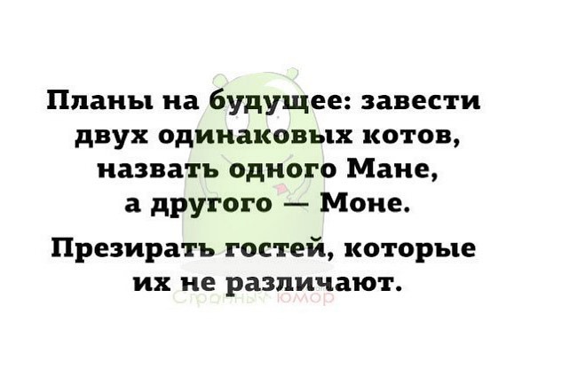 7795f153baddf2a22e5e14cbc1ad1f5f.jpg