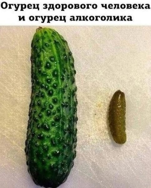 20262879.jpg