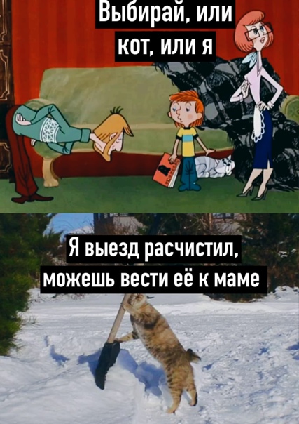 93598c02b46d831f9bab154be072ae3b.jpg