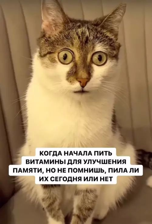 N1FdWRr7_o.jpeg