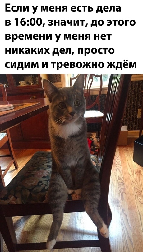 b5a2f64487746303e6382c50f3066fab.jpg