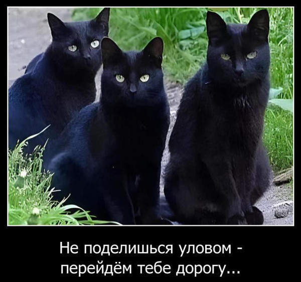 1747056121.jpg