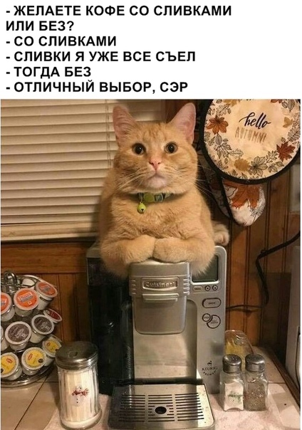 7UgiXpKD_o.jpg