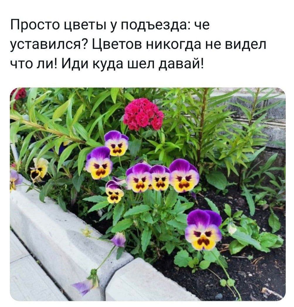 753aa64cf86f2ca73044d5f942d314e6.jpg