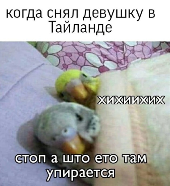 MEZOES6_o.jpg