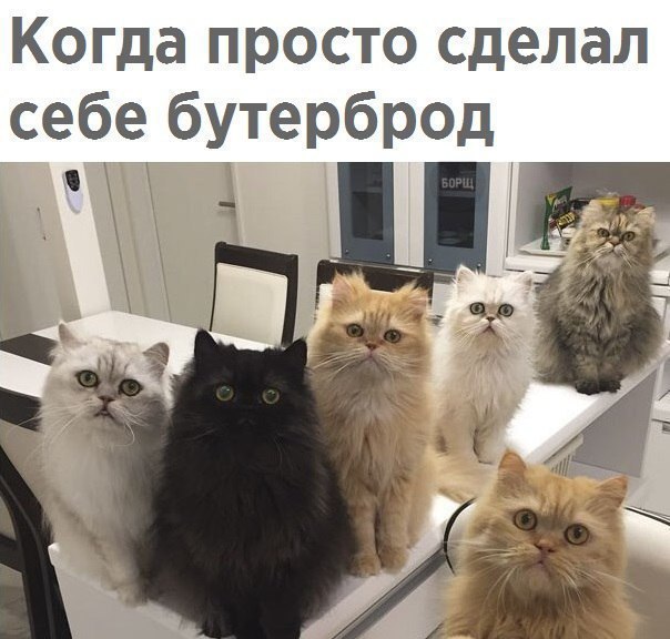 gKGQdNfp_o.jpg