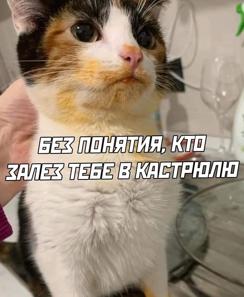 e29ba4ba71212cb217956a3ab81ec468.jpg