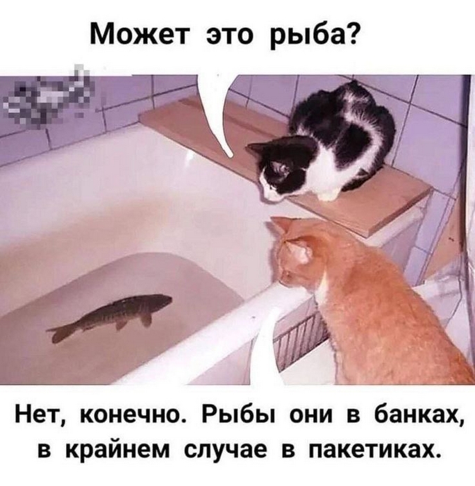 05c2167f773054b43678049d86216c36.jpg
