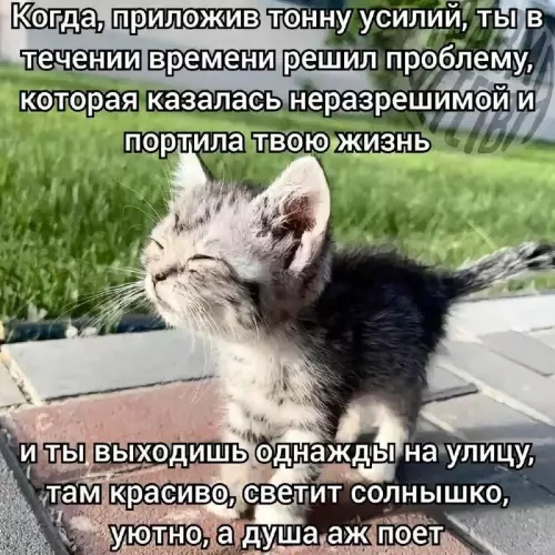 2f2984c8a778cf571009042376546ffe.jpg