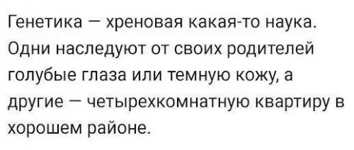 fabed37865fbedd43d5646c073f15102.jpg