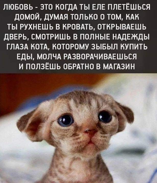 89f35eac51867f8d31b4d404dfa5e9c8.jpg