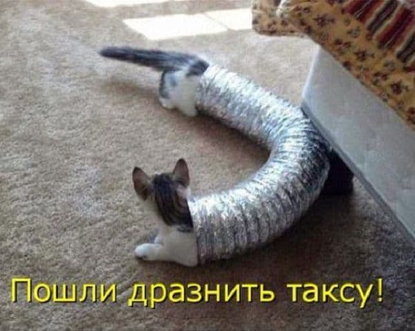 0502406f6c796468385dff777de32fb3.jpg