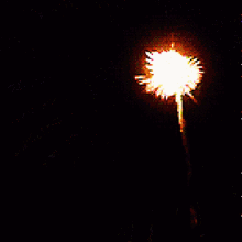 12-congratulations-celebrate.gif