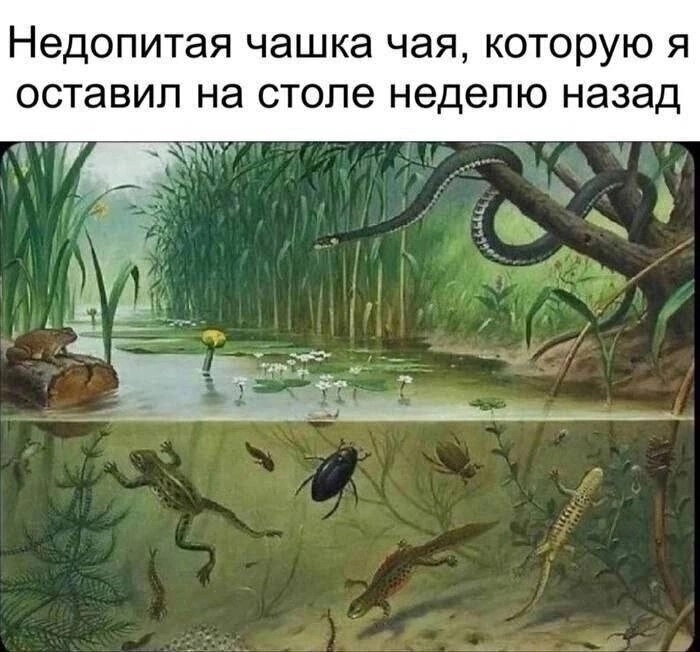 82e2d6a3e01acde799bcf0867fbc790e.jpg