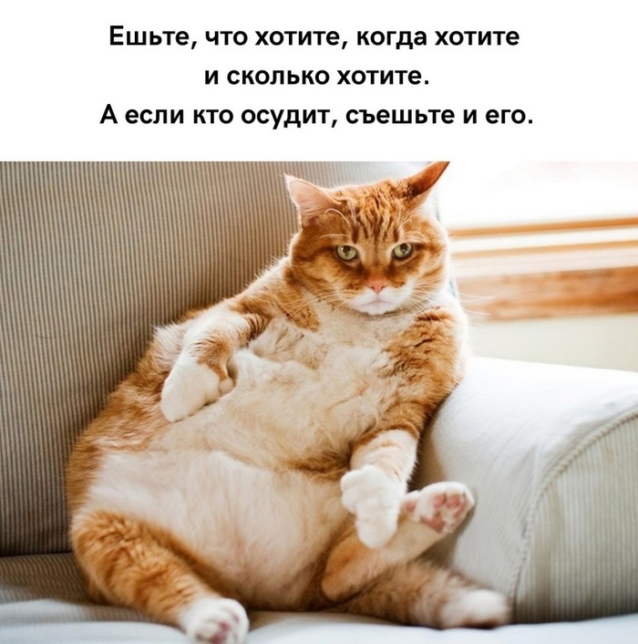 1740164024111798276.jpg