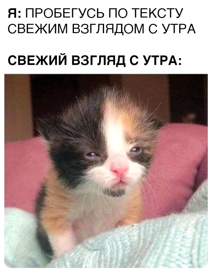 1740380585183219458.jpg