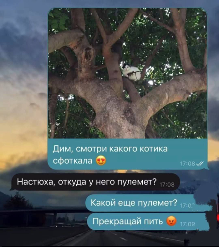 xgeexrzi.jpg