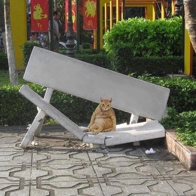 IMG-0978.png