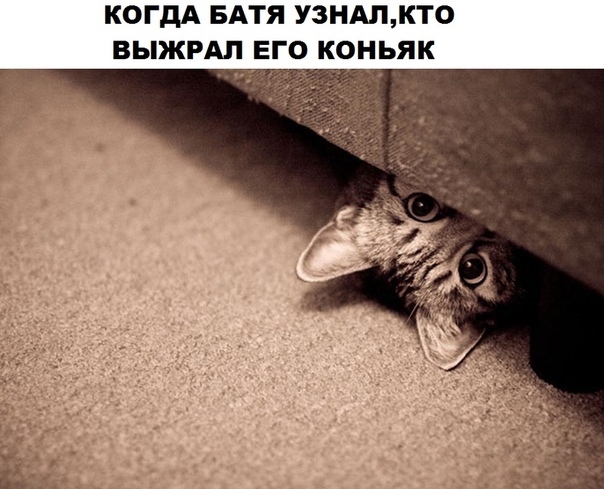 dzQueEP3_o.jpg