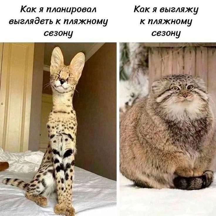 3CauEuLa_o.jpg