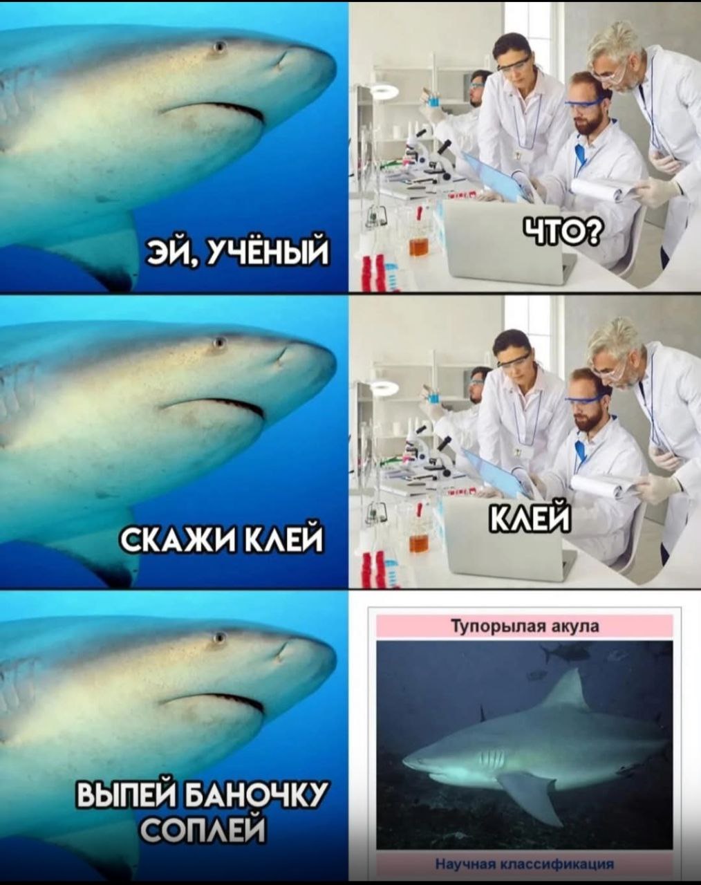 111.jpg