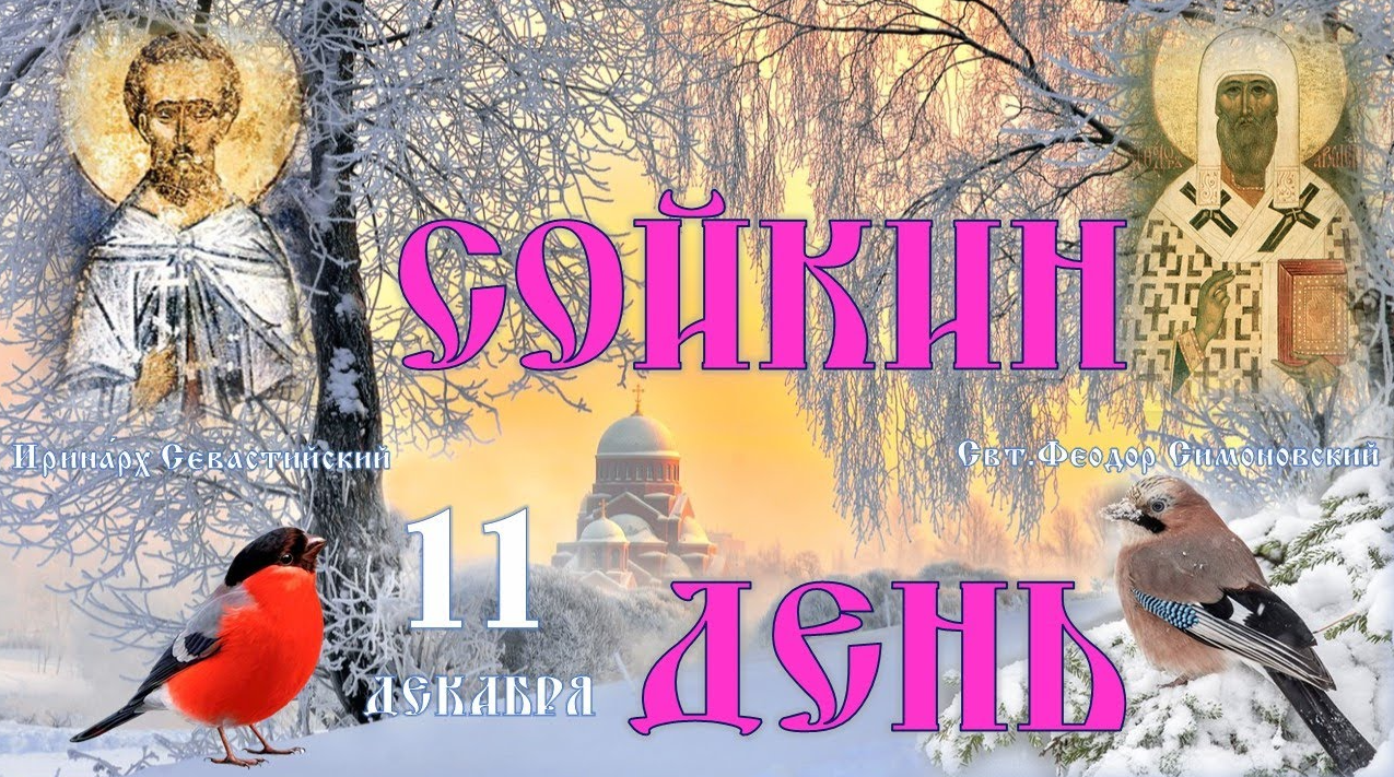 screenshot-2022-12-11-005.png