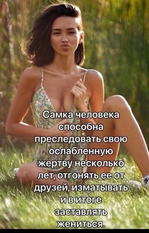 18575171.jpg