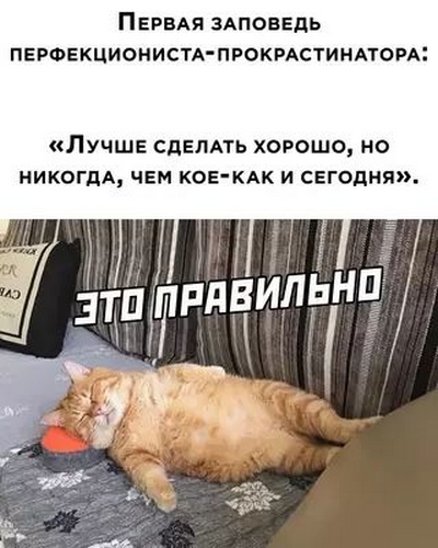 3195e10c8338dc87299378703b642f85.jpg
