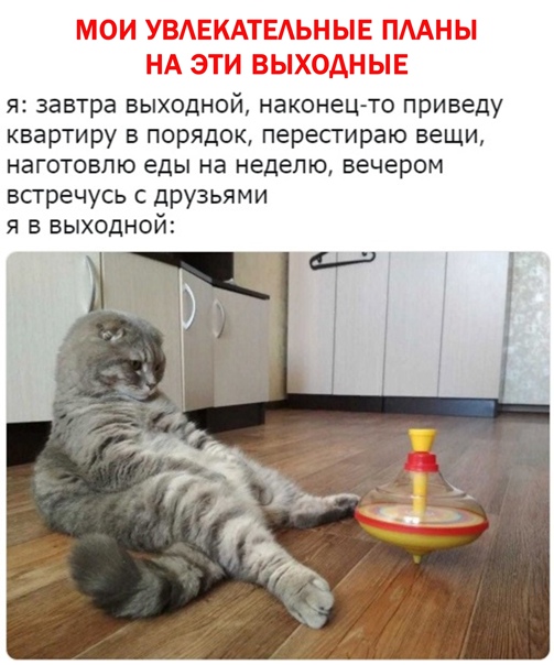 4baee2131f113dcab24878f90ebd6ec6.jpg