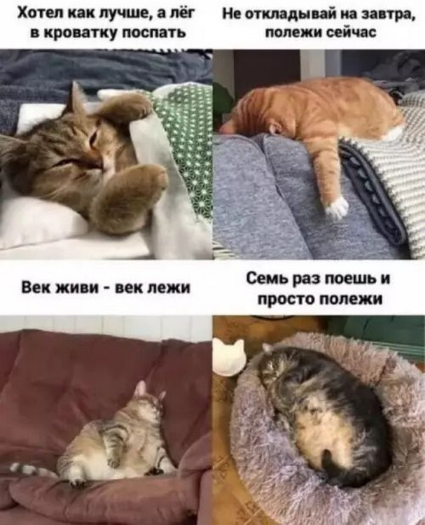 64xdxjk2.jpg