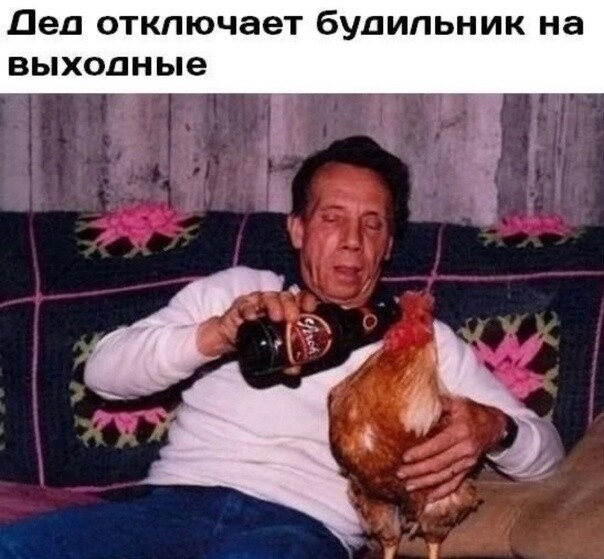 19096642.jpg