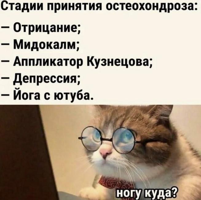 57f88401c0b8e980d12733786b287914.jpeg