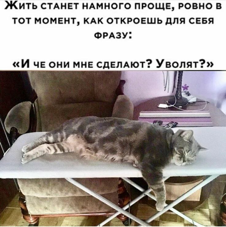 yrdyk64c.jpg