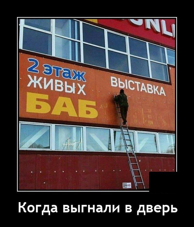 207104_16_trinixy_ru.jpg