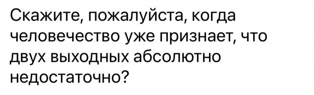 19127109.jpg