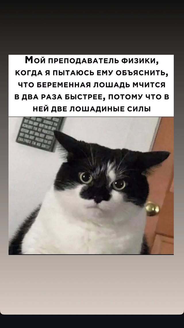 1741000127131737602.jpg