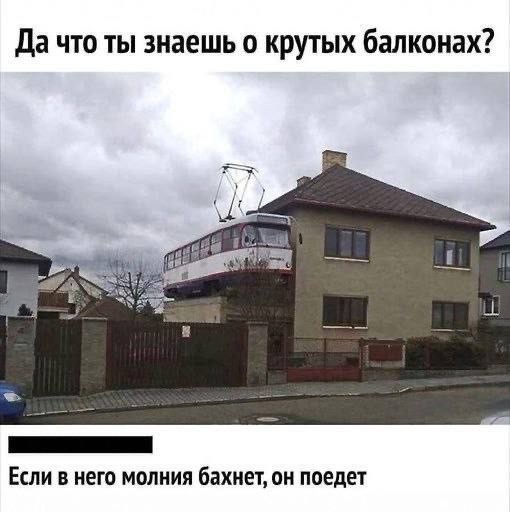 19506758.jpg