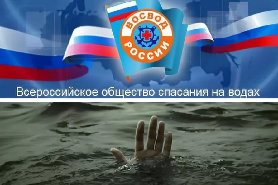 screenshot-2023-03-06-008.png