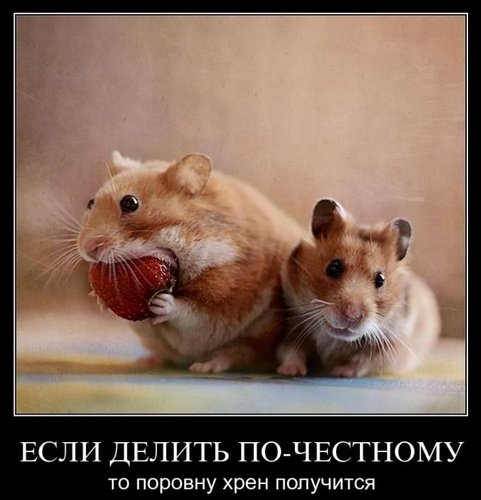 8688b8e422b430a1aa9326e1a6fca4c2.jpg