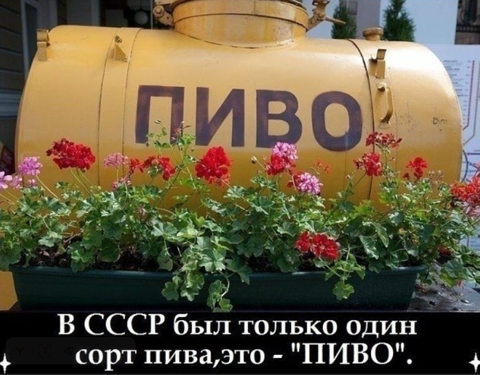 bnjbcmvw.jpg