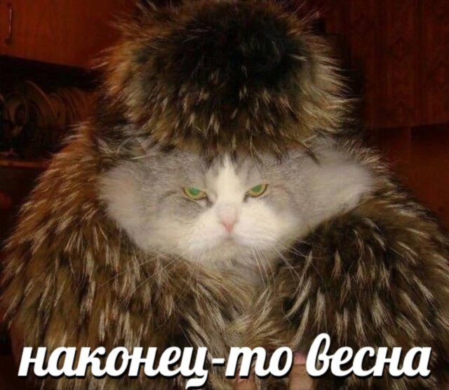 257218_1_trinixy_ru.jpg