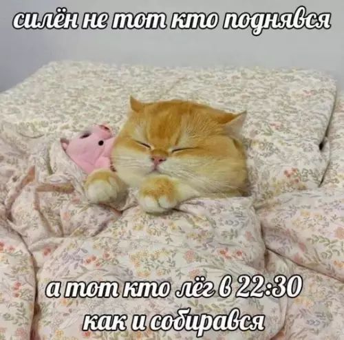 2296a8f62956a29e8c26b15fceeae982.jpg