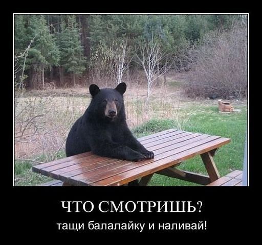 9765c6a47769d440fbb654fc59734074.jpg